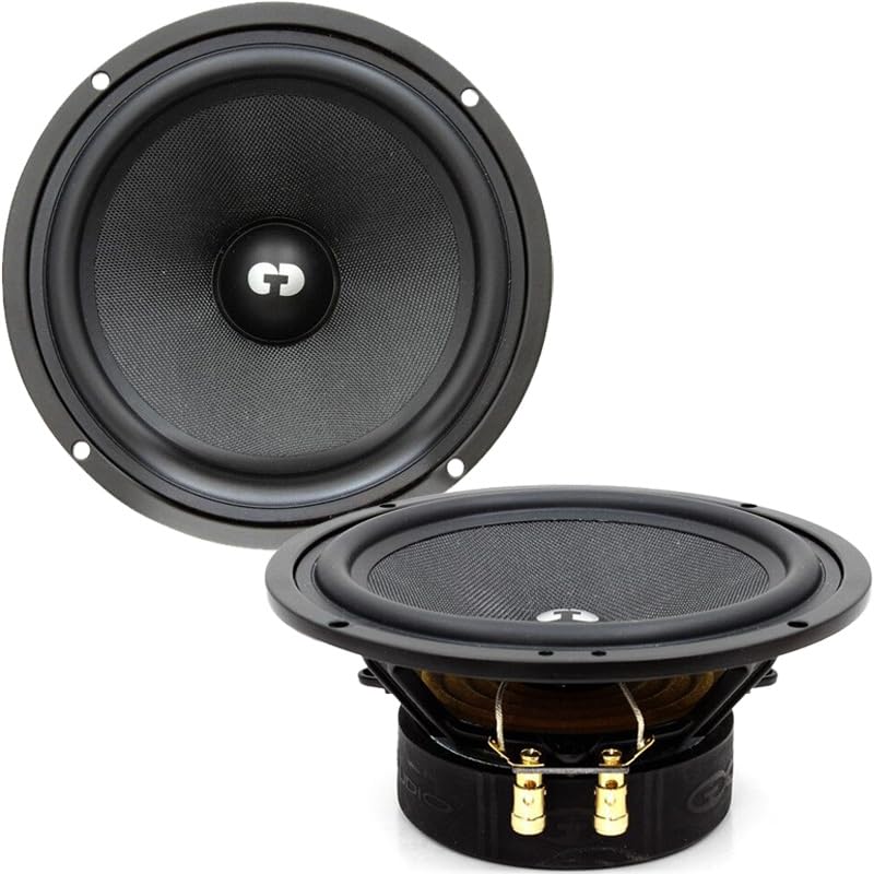 Amazon.com: CDT Audio ES-6 Gold Series 6.5